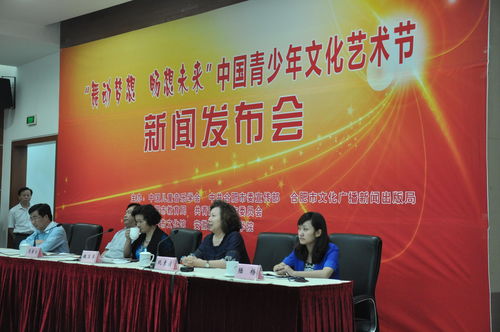 2015中國合肥青少年文化藝術節 文化交流的青春盛宴